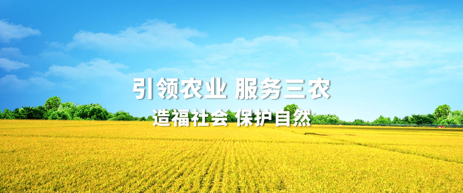 香港六宝典资料大全
