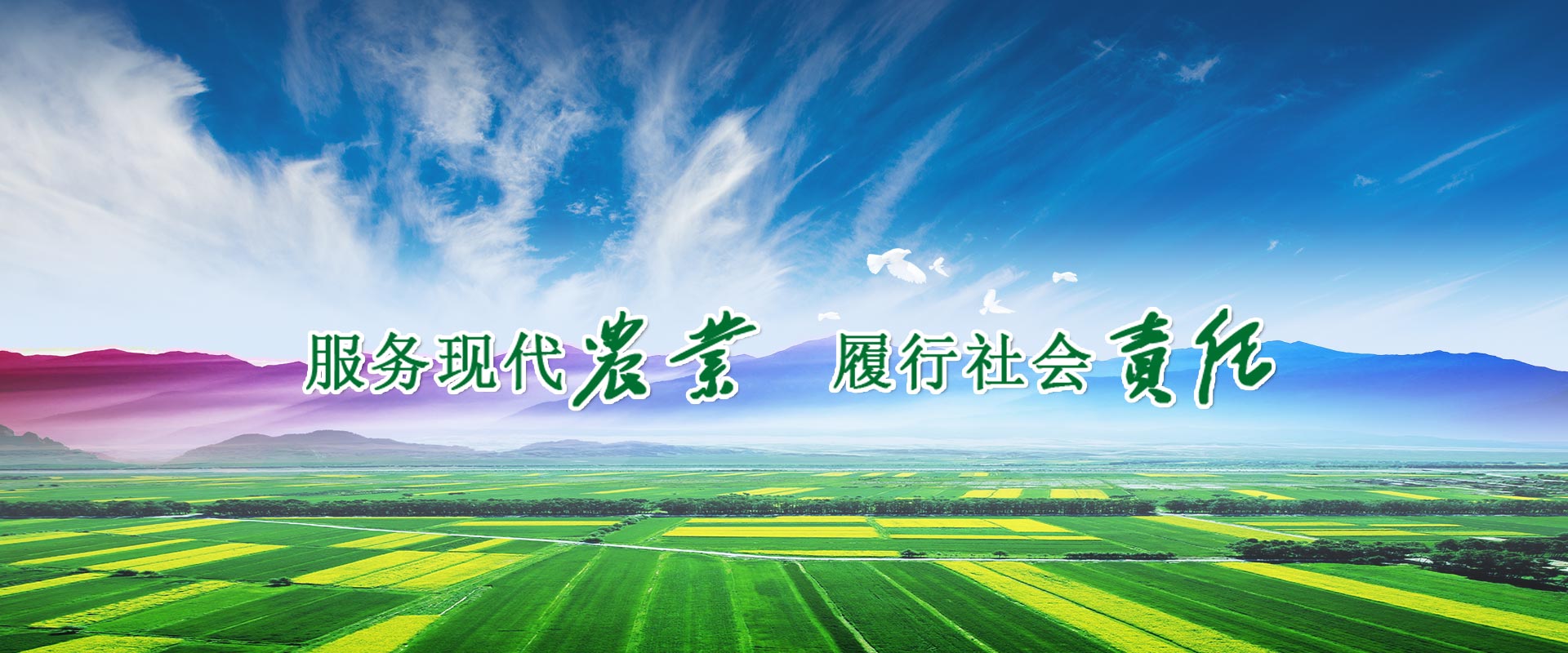 香港六宝典资料大全